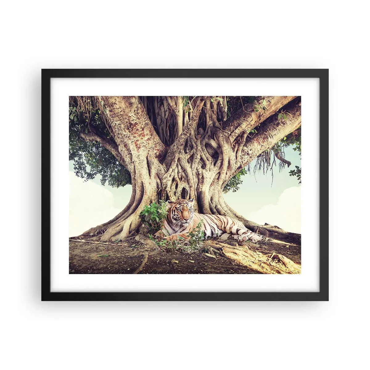 Poster în ramă neagră - O perspectivă din Geneză - 50x40 cm