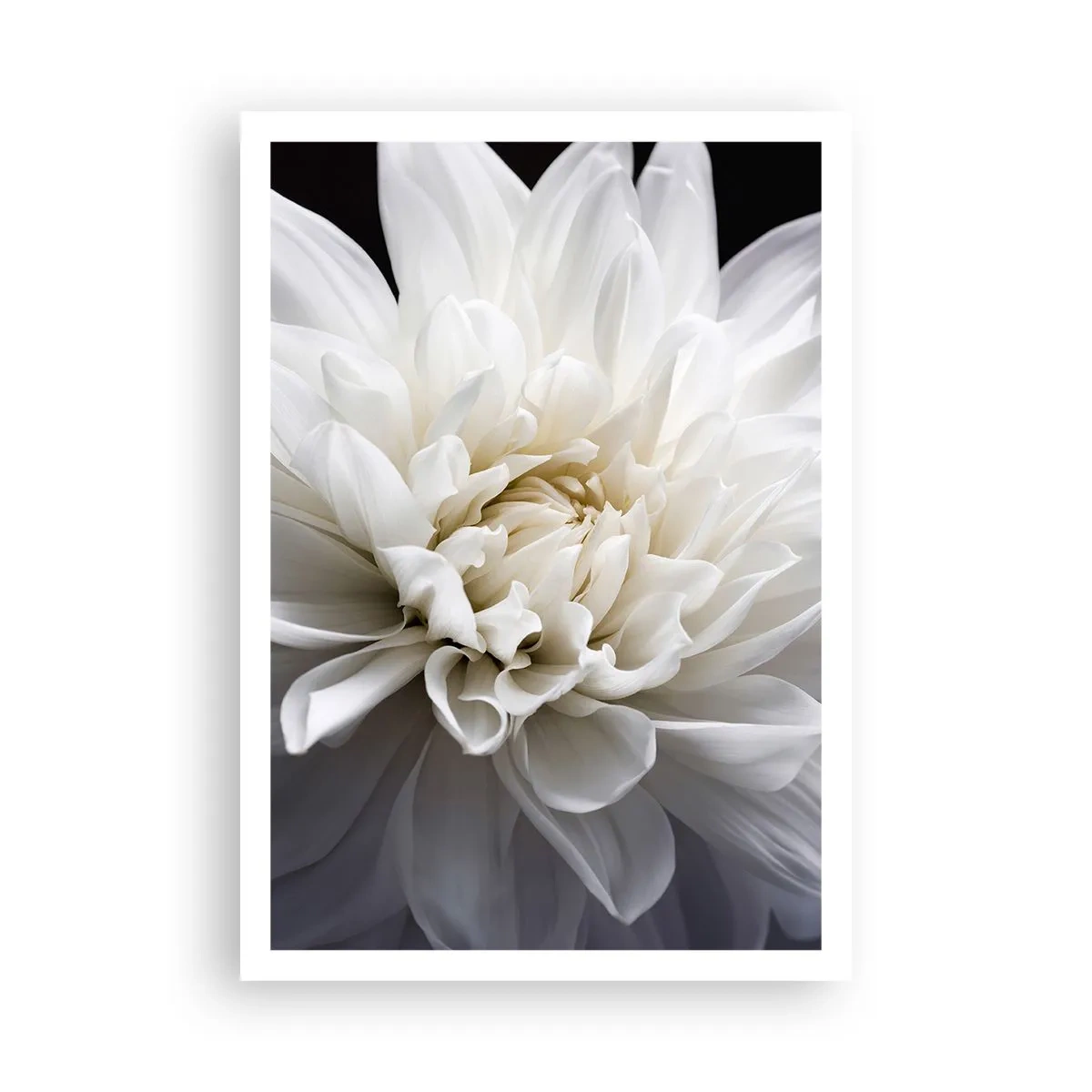 Poster - Dimineața miresei - 70x100 cm