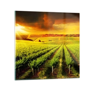 Tablou pe sticlă - Sub soarele australian - 70x70 cm