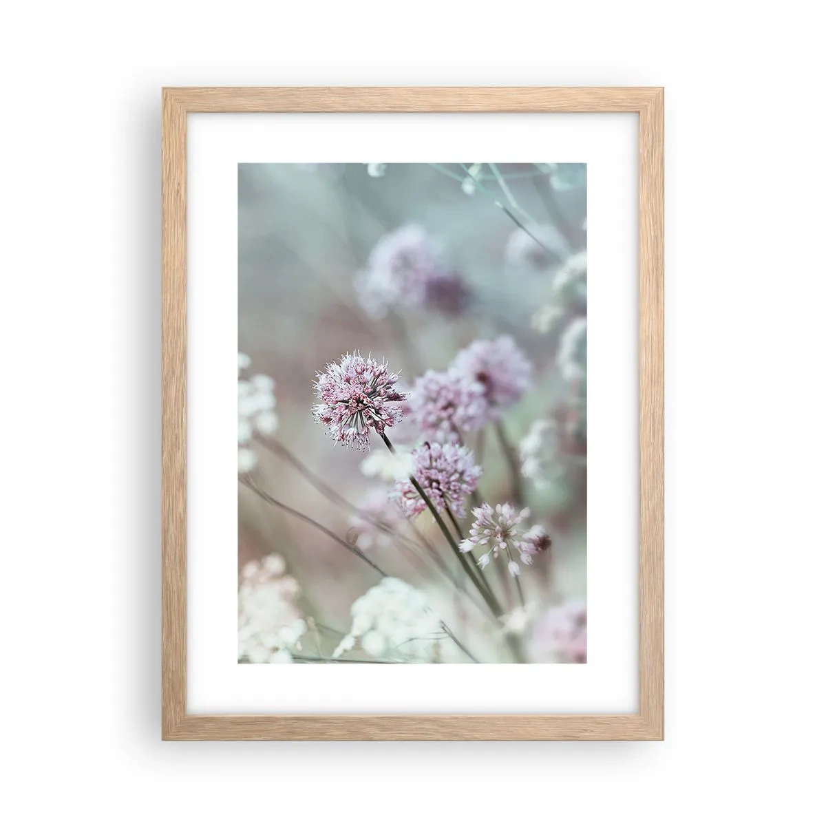 Poster în ramă de stejar deschis - Ierburi dulci filigranate - 30x40 cm