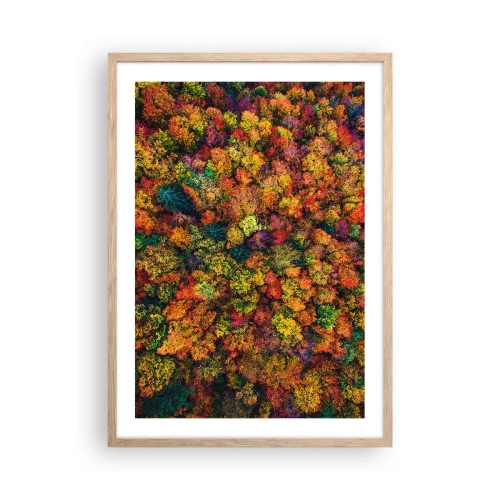 Poster în ramă de stejar deschis - Buchet de copaci de toamnă - 50x70 cm