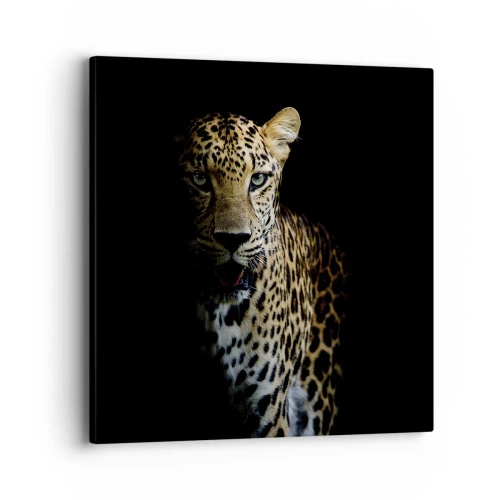 Tablou pe pânză - Frumusețe întunecată - 40x40 cm