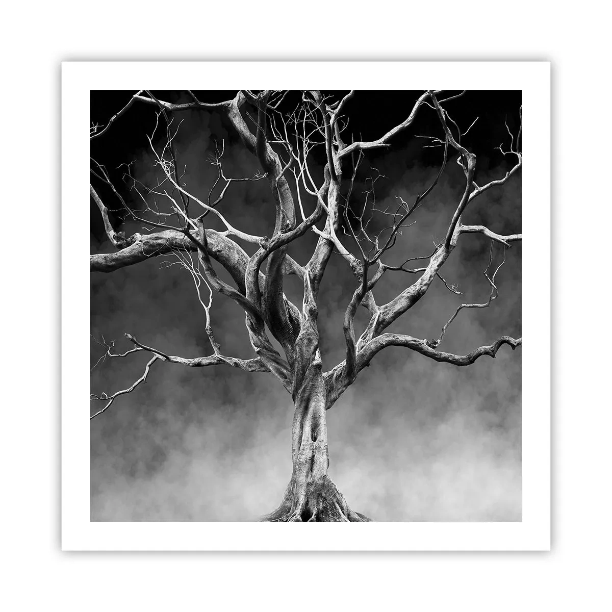 Poster - Primare și sacre - 60x60 cm