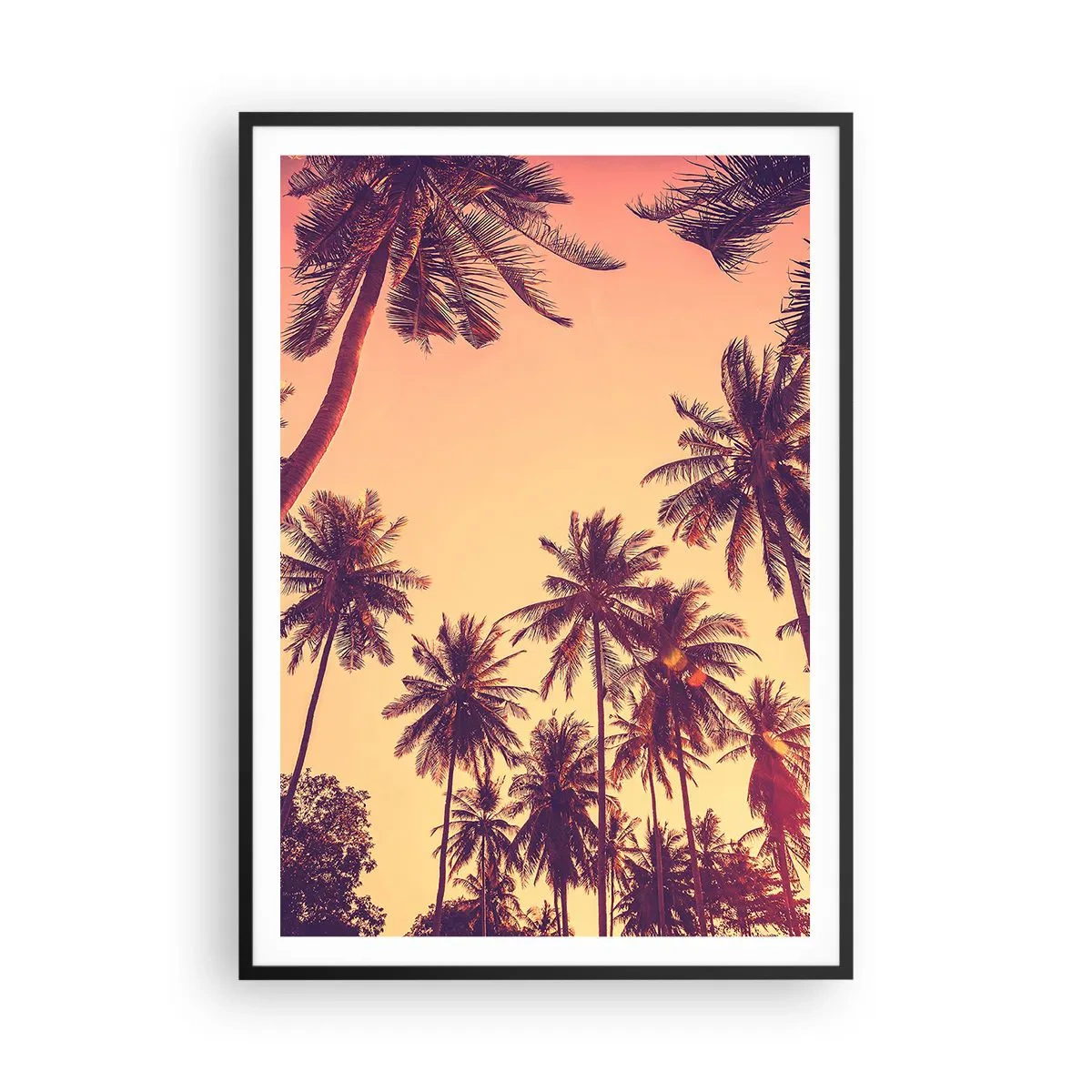 Poster în ramă neagră - Variație tropicală - 70x100 cm