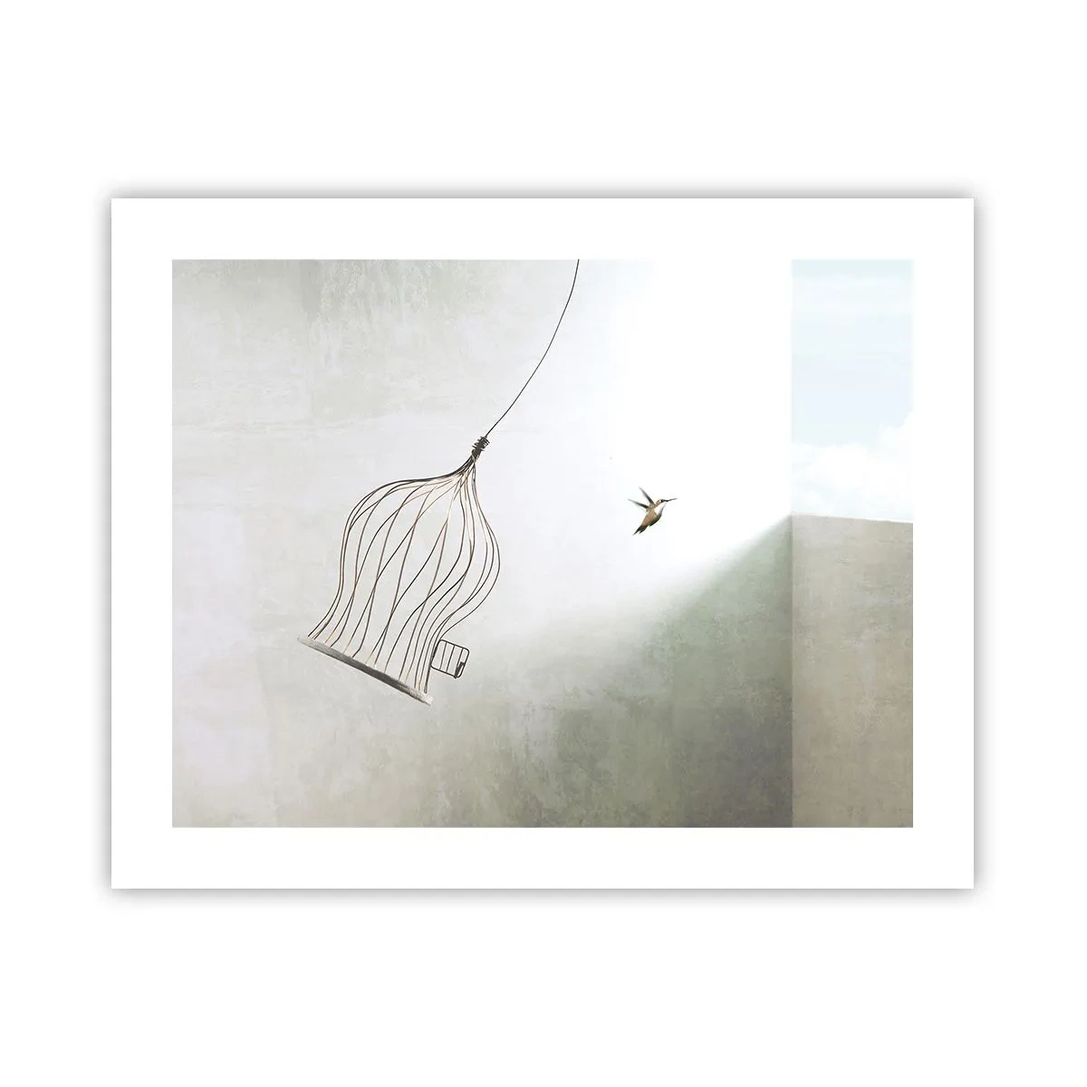 Poster - Eliberat - 50x40 cm