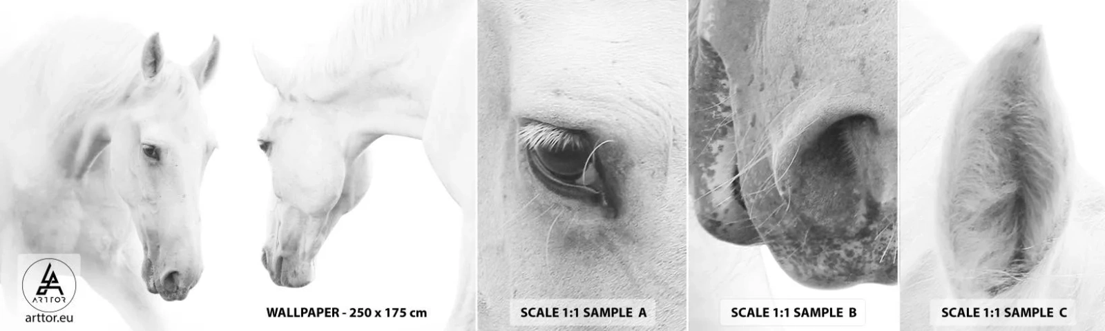 Mostră de Tapet Standard Eco - Este aceasta o prietenie...? - Cai, Natură, Animale - 100x30 cm