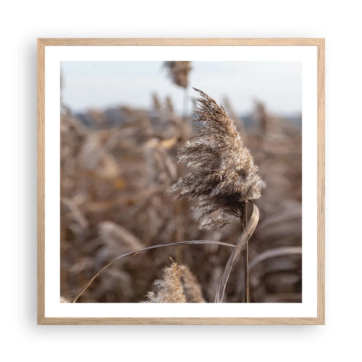 Poster în ramă de stejar deschis - E timpul să zbori cu vântul - 60x60 cm