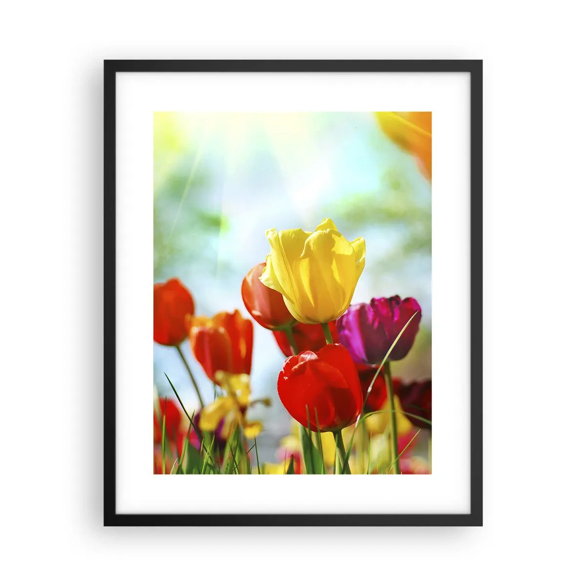 Poster în ramă neagră - Toate culorile soarelui - 40x50 cm