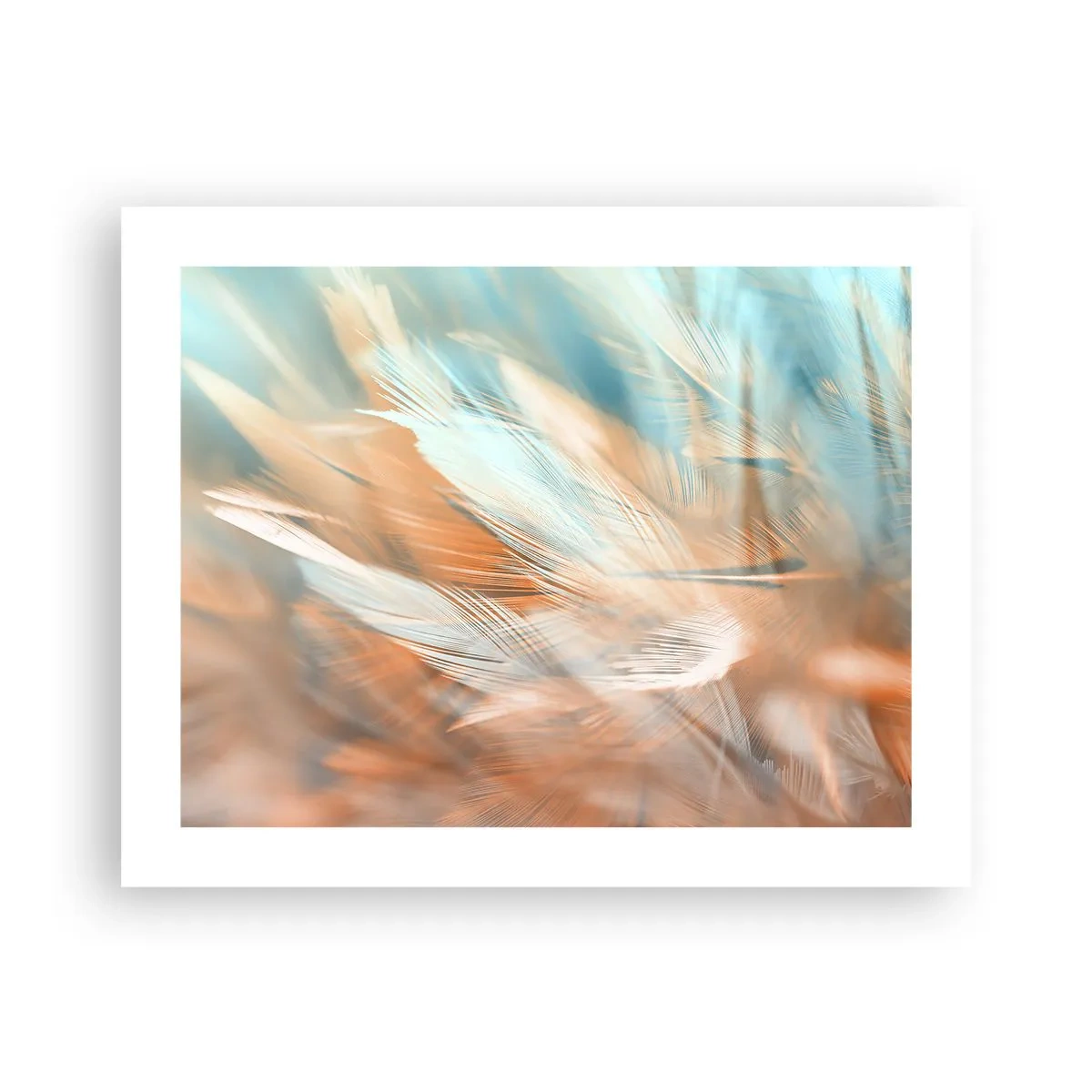 Poster - În țara blândeții - 50x40 cm