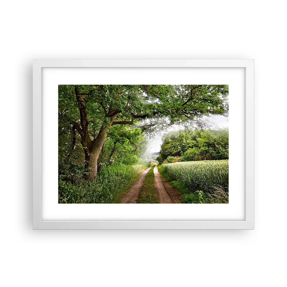 Poster în ramă albă - Et in Arcadia ego - 40x30 cm