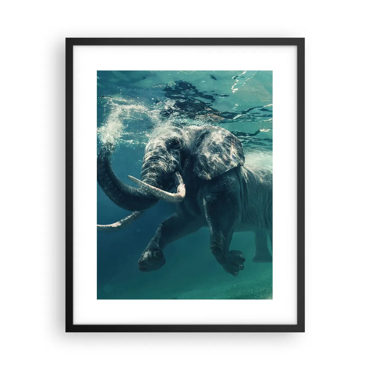 Poster în ramă neagră - Tuturor le place să înoate - 40x50 cm