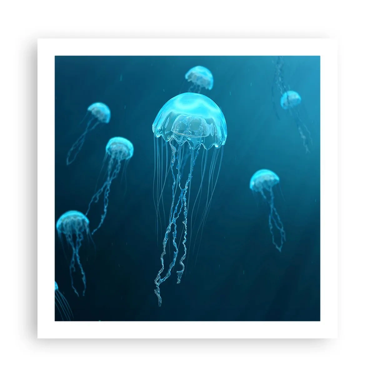 Poster - Dansul oceanic - 60x60 cm