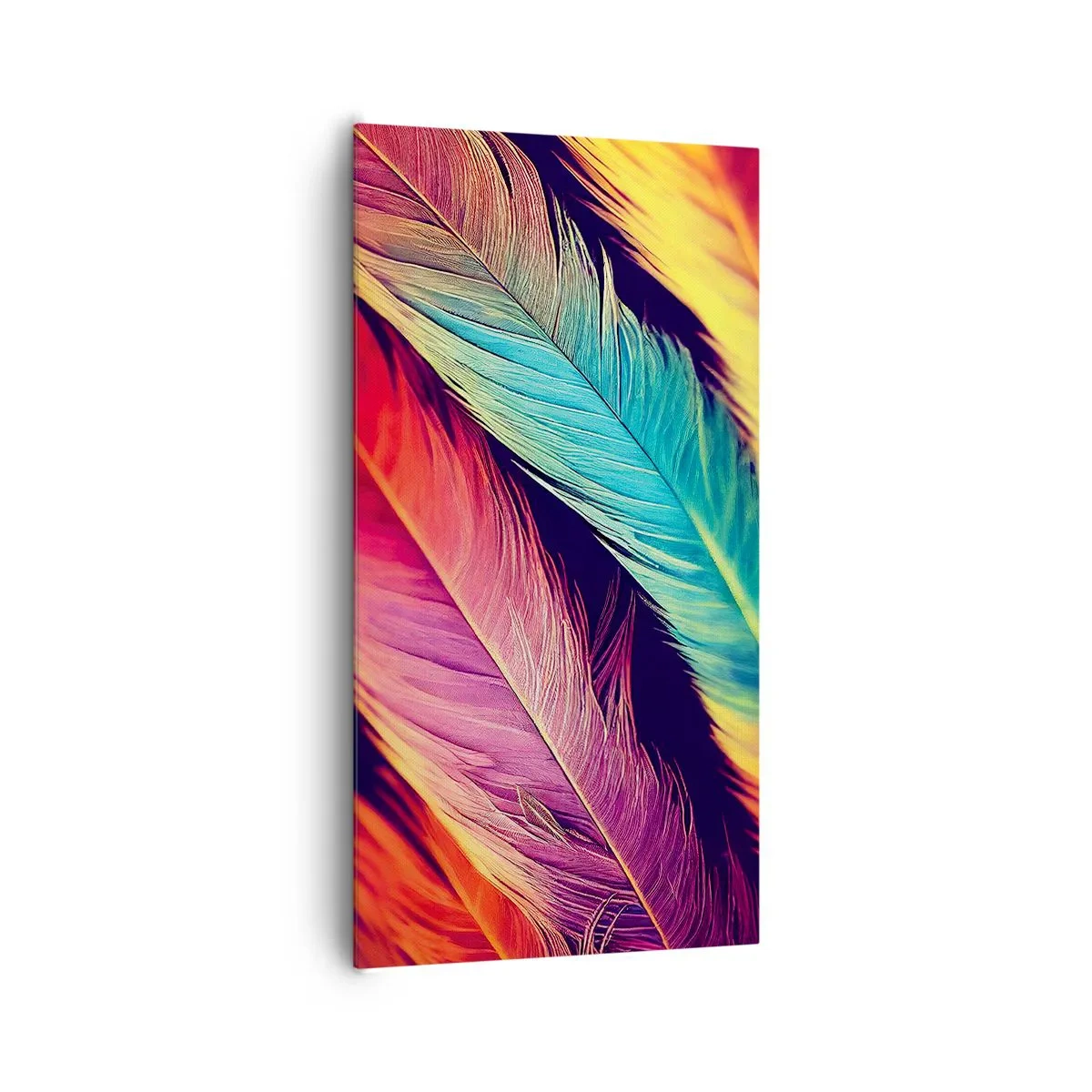 Tablou pe pânză - Curcubeu cu pene - 65x120 cm