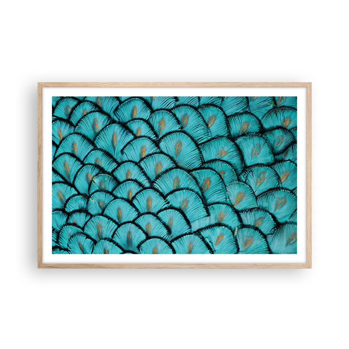 Poster în ramă de stejar deschis - Marea gală a penelor - 91x61 cm