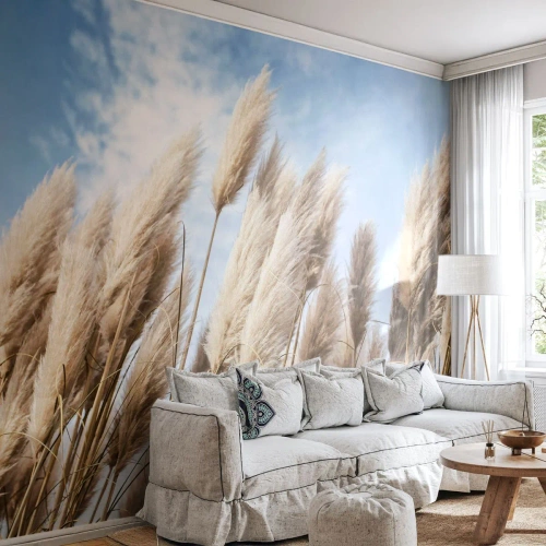 Tapet Premium Canvas - Mângâiere însorită și vântoasă - Iarbă de pampas, Natură, Boho - 250x175 cm
