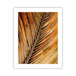 Poster - Aur de nucă de cocos - 40x50 cm
