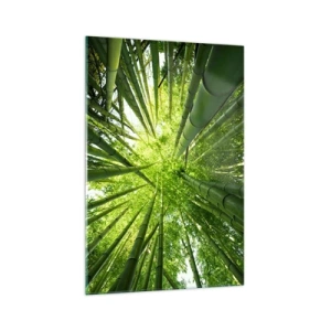 Tablou pe sticlă - Într-o pădure de bambus - 70x100 cm