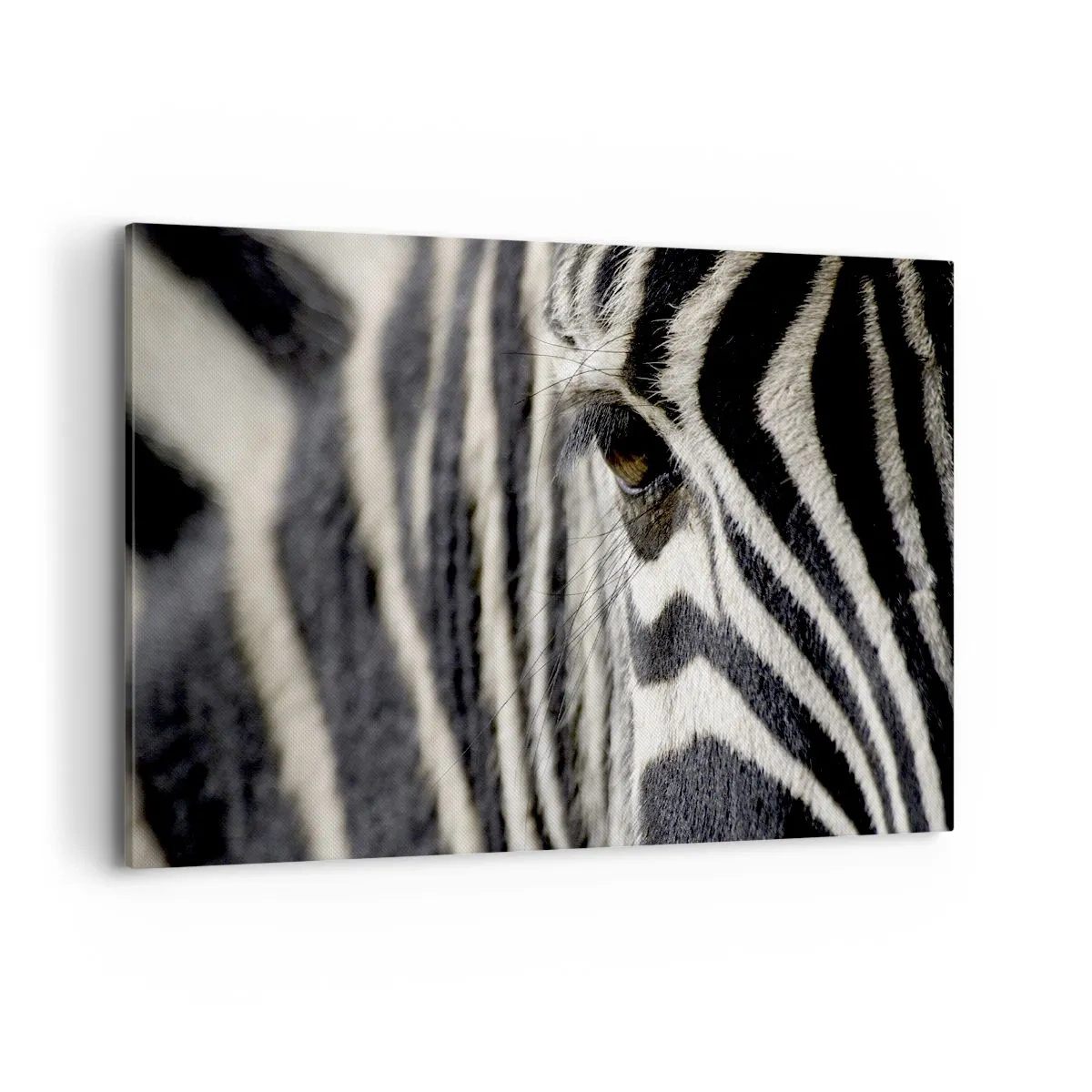 Tablou pe pânză - Portret cu dungi - 120x80 cm