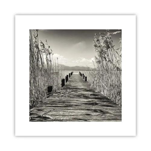 Poster - În intimitatea ierburilor - 30x30 cm