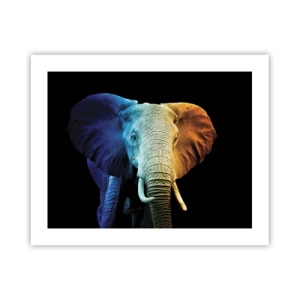 Poster - Excentric, nu ciudat - 50x40 cm