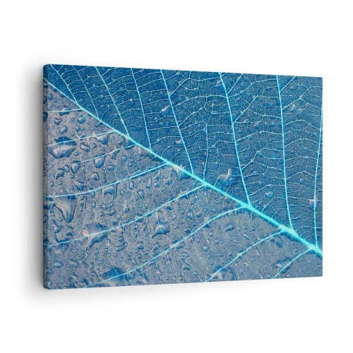 Tablou pe pânză Canvas - O frunză în nuanțe de albastru cu picături de apă - 70x50cm - Viața în albastru - Decorațiune modernă pentru perete pentru living și dormitor ARTTOR