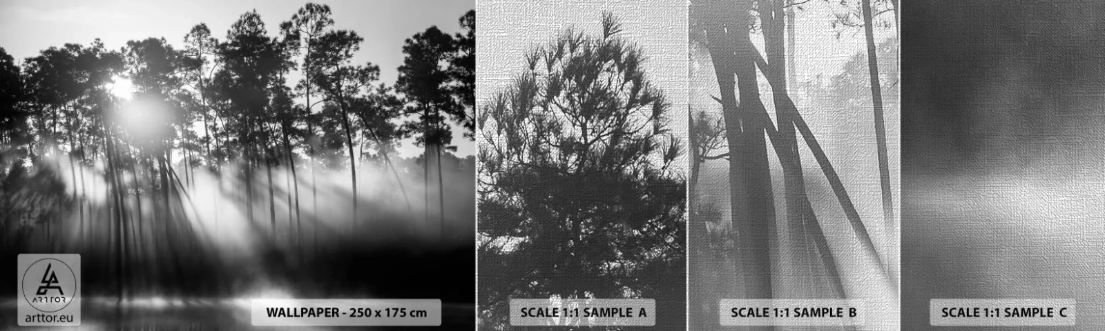 Mostră tapet Premium Canvas - Soare de neoprit - Peisaj, pădure, Natură - 100x30 cm