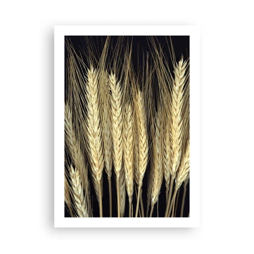 Poster - Magie rustică - 50x70 cm