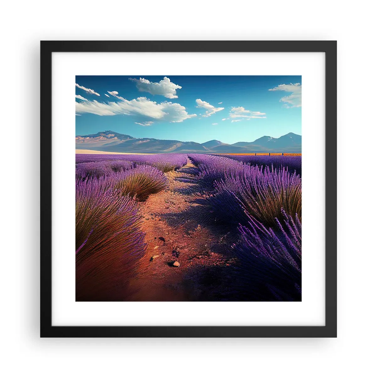 Poster în ramă neagră - Câmpuri parfumate - 40x40 cm