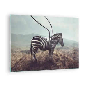 Tablou pe sticlă - Zebră pe fundal de iarbă cu detalii suprarealiste de antenă - 70x50cm - Atenție! Defecțiune - Decorațiune modernă pentru perete pentru living și dormitor ARTTOR