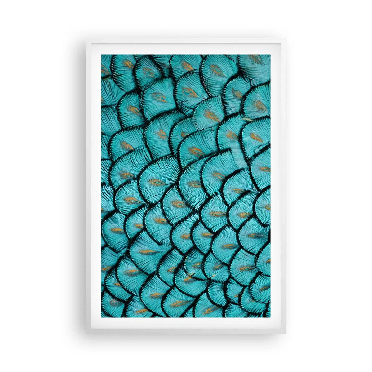 Poster în ramă albă - Marea gală a penelor - 61x91 cm