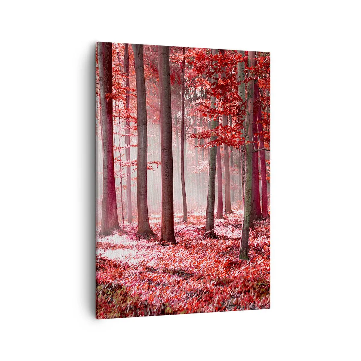 Tablou pe pânză - Roșie este la fel de frumoasă - 50x70 cm