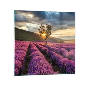 Tablou pe sticlă - Aroma în liliac - 70x70 cm