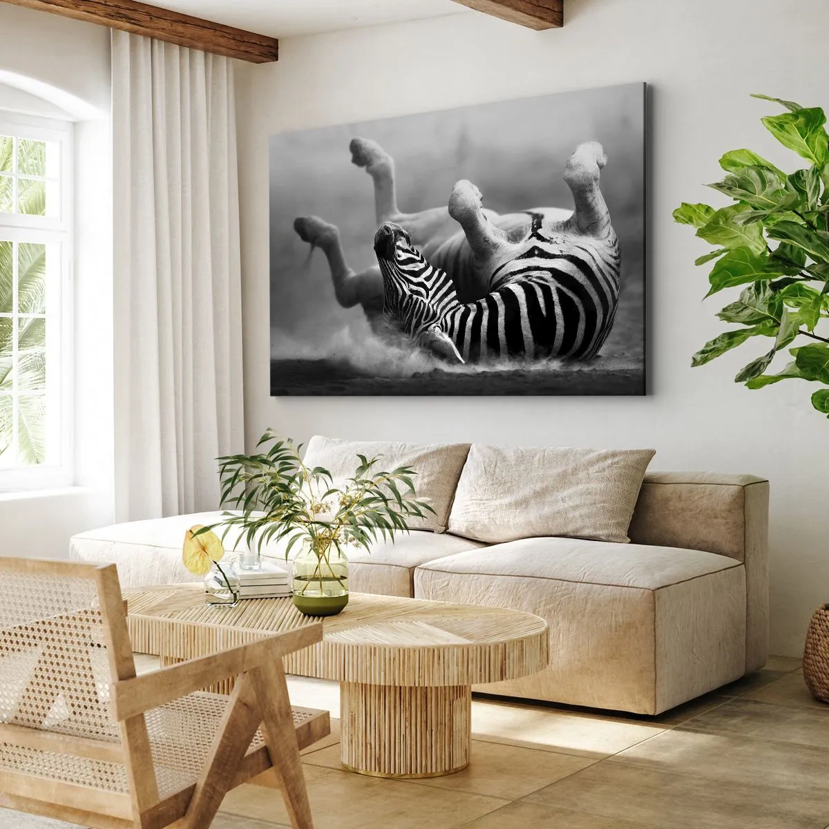 Tablou pe pânză Canvas - O zebră albă și neagră care se rostogolește în nisip - 70x50cm - Distracție - Decorațiune modernă pentru perete pentru living și dormitor ARTTOR