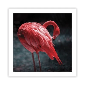 Poster - Poemul purpuriu al naturii - 50x50 cm