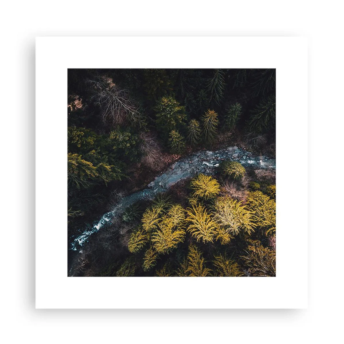 Poster - Rapid și mai rapid - 30x30 cm