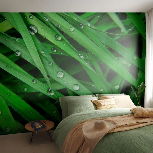 Tapet Premium Sand - Joacă de-a verdele - Natură, Iarbă verde, Grădină - 350x256 cm