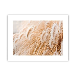 Poster - Foșnetul auriu al ierburilor - 40x30 cm