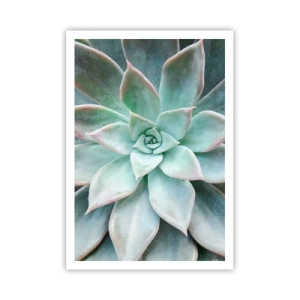 Poster - Inima deșertului - 70x100 cm