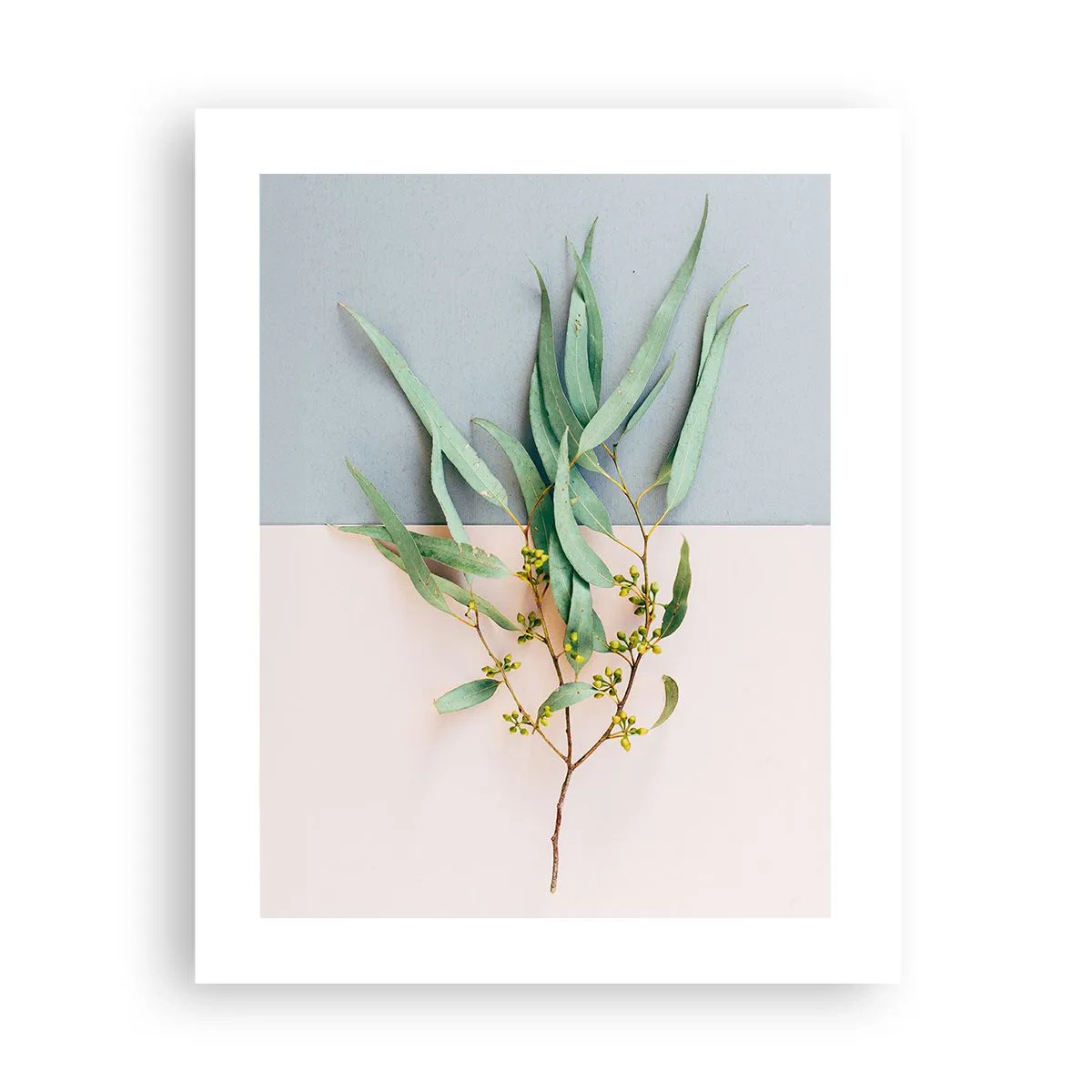 Poster - Subtilitate pastelată - 40x50 cm