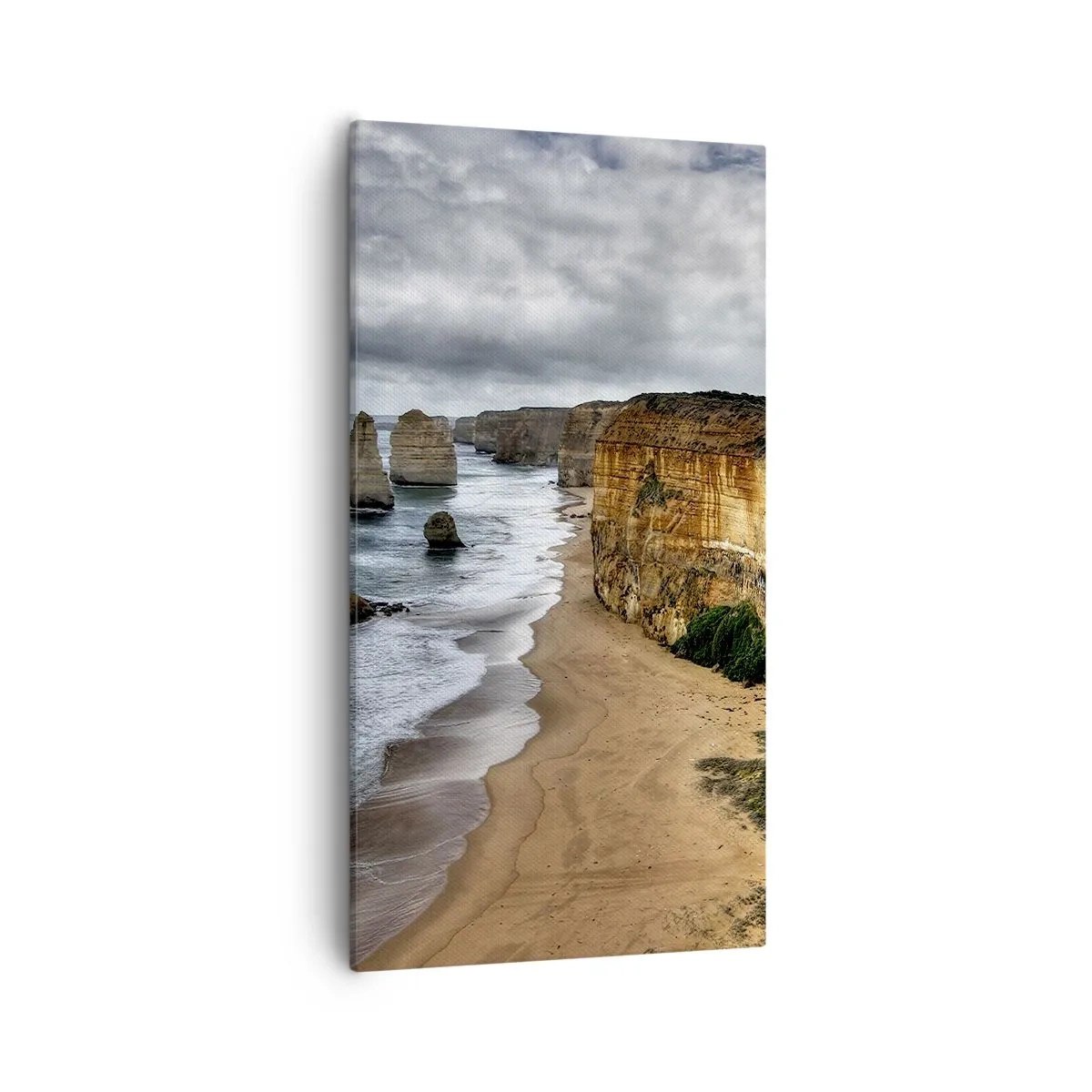 Tablou pe pânză - Frumusețe brută - 55x100 cm