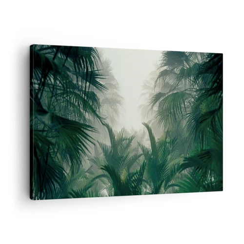 Tablou pe pânză Canvas - Vegetație tropicală în ceață densă a pădurii tropicale - 70x50cm - Mister tropical - Decorațiune modernă pentru perete pentru living și dormitor ARTTOR