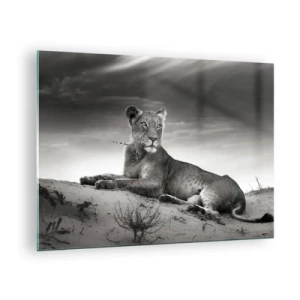 Tablou pe sticlă - Lăsat întins în deșert într-o ramă alb-negru - 70x50cm - Odihna reginei deșertului - Decorațiune modernă pentru perete pentru living și dormitor ARTTOR
