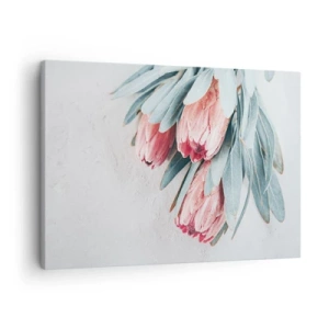 Tablou pe pânză Canvas - Flori subtile de protea roz pe un fundal deschis - 70x50cm - Rușinate de propria lor frumusețe - Decorațiune modernă pentru perete pentru living și dormitor ARTTOR