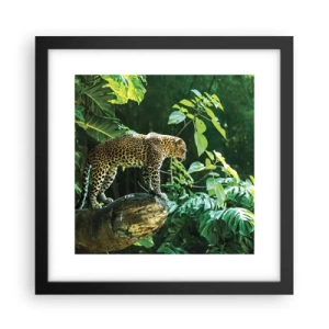 Poster în ramă neagră - La vânătoare? - 30x30 cm