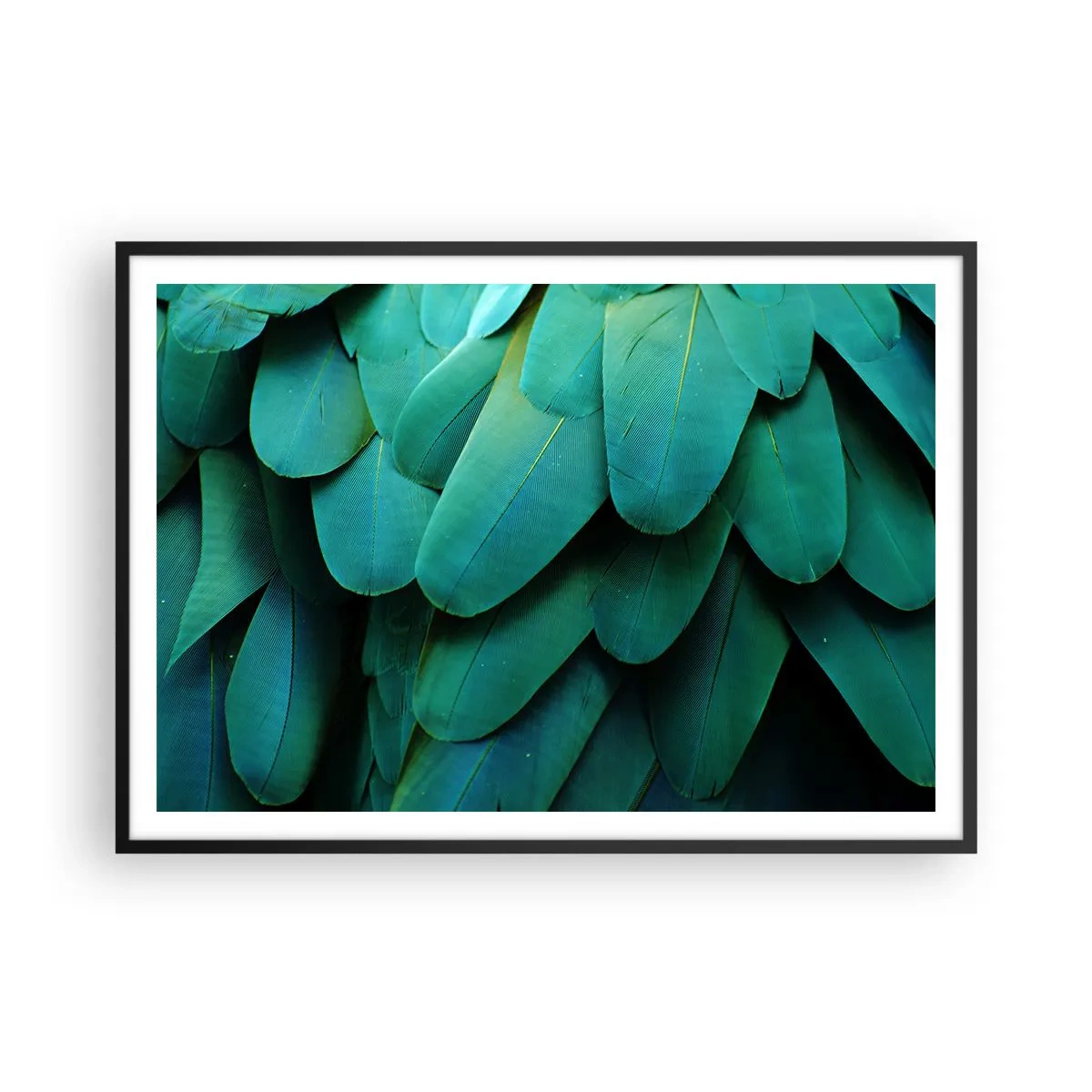 Poster în ramă neagră - Precizia naturii papagalicești - 100x70 cm