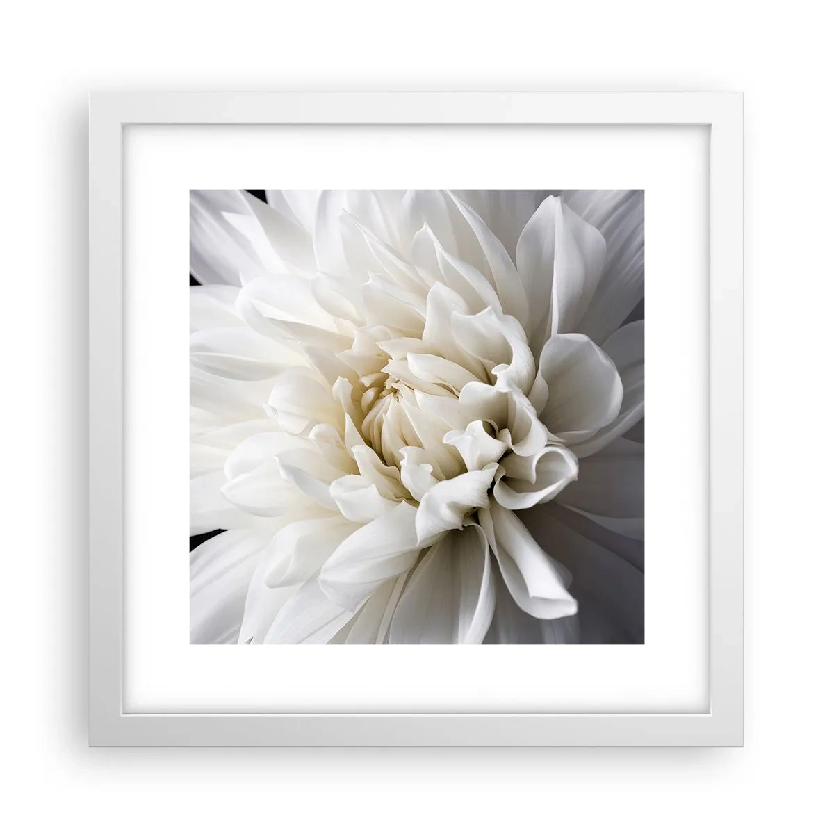 Poster în ramă albă - Dimineața miresei - 30x30 cm