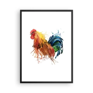 Poster în ramă neagră - Cocoș colorat în stil acuarelă - 50x70cm - Haina regală, mândria regală - Decorațiune modernă pentru perete pentru living și dormitor ARTTOR