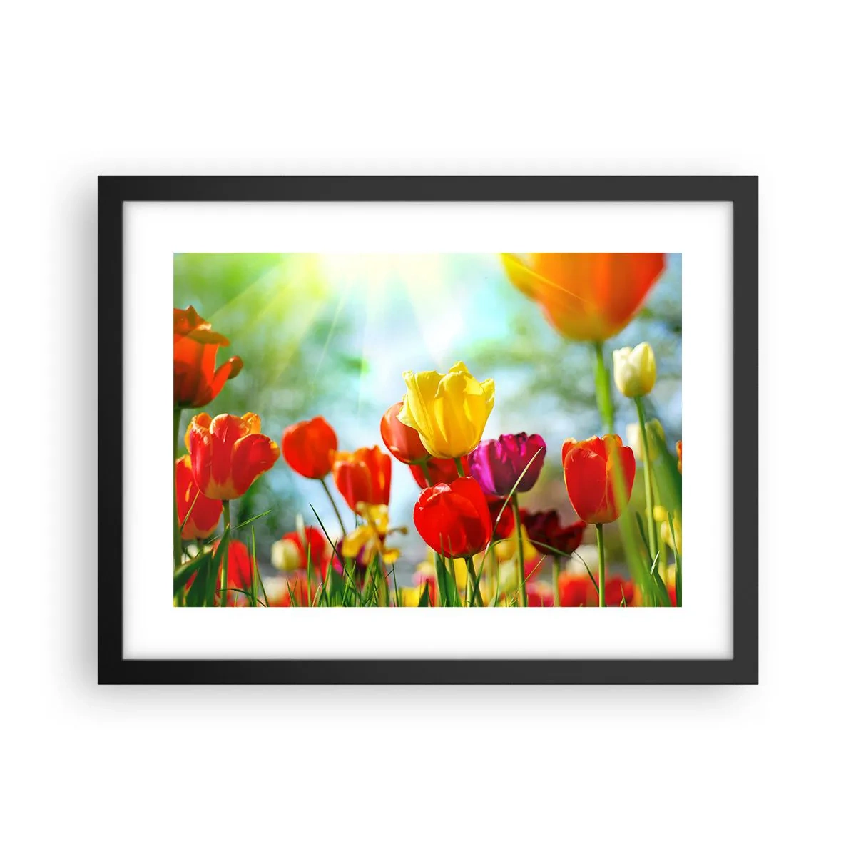 Poster în ramă neagră - Toate culorile soarelui - 40x30 cm