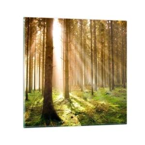 Tablou pe sticlă - Spiridușii sunt pe cale să apară - 60x60 cm