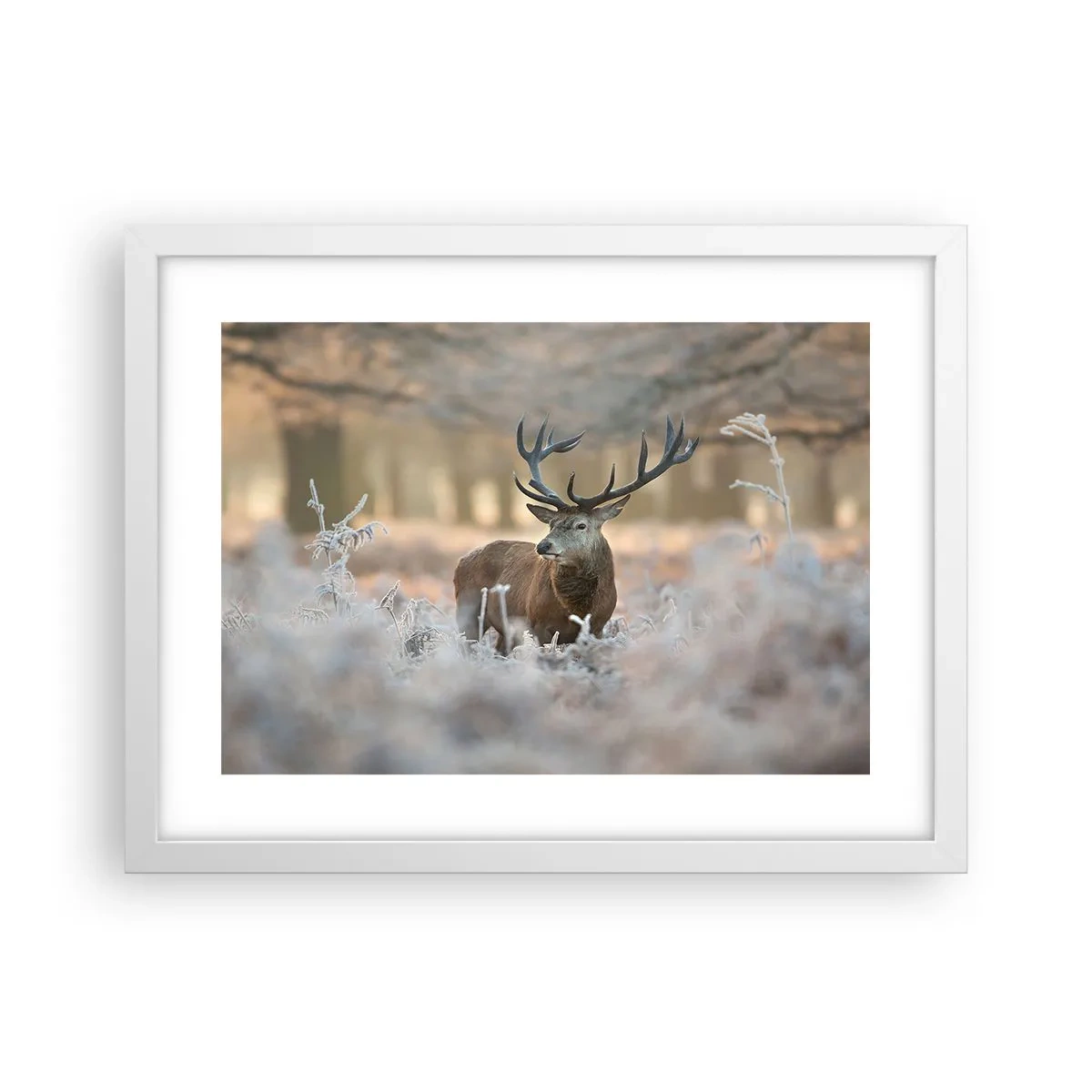 Poster în ramă albă - O dimineață răcoroasă - 40x30 cm